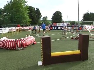 Diablesse-Agi2-LO2010
