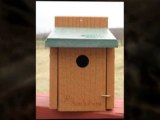 Audobon Going Green Wren House