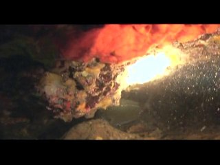 Tα μυστικά του σαργού (Μέρος 4) - Τάσος Χάλαρης