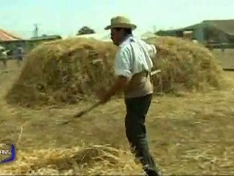 La fête du Boeuf à Landeveille (Vendée)