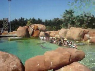 Rencontre avec les Dauphins