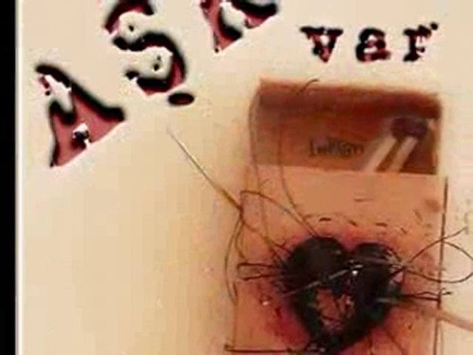 Dayanamam diyordun ayrılamam