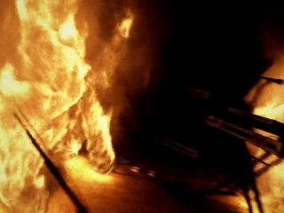 Cold Love video trailer