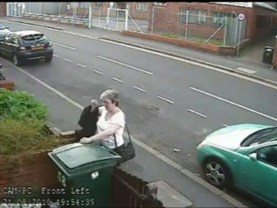 Angleterre : une femme jette un chat