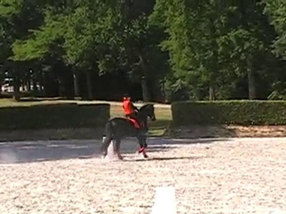 Condor de Catel reprise de dressage en musique