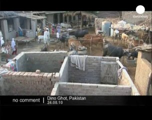 Villagers protect their homes in Pakistan - no comment