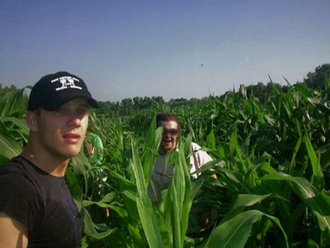 Daytime UFO over Brezice, Slovenia - 11 July 2010