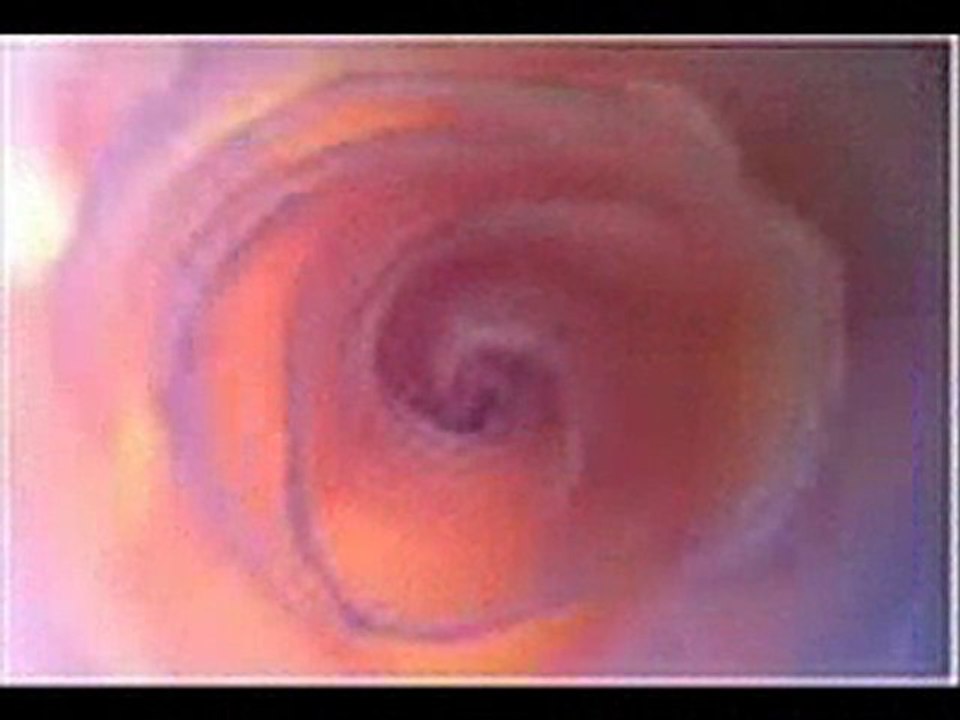 tant que tu vis  ( patrick fiori) par moi et yannick