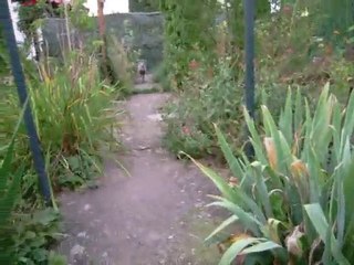 Didy et la baballe 24082010