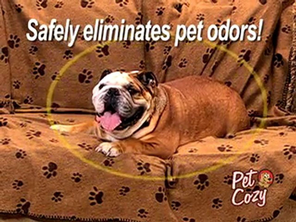 Fred Vanore Pet Cozy Blue Moon Studios
