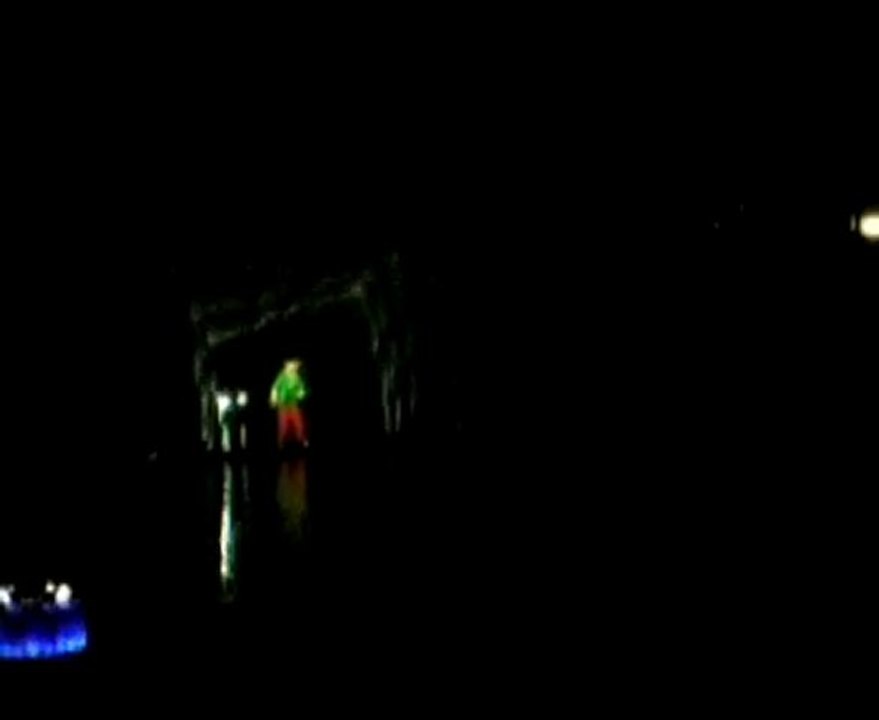 DSCN0932
