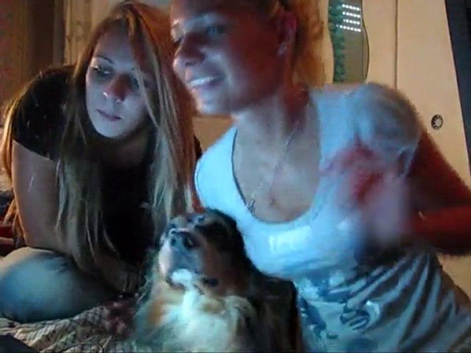 F&M , TAG QUESTiONS - FORUM