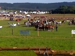 Levier 2010 courses de chars romains équipe Trait-Union
