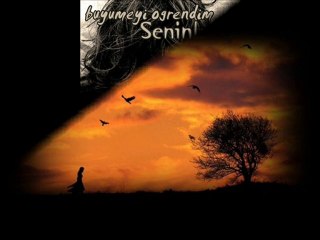 DeRe Yorum  Tayfur Odabaşı