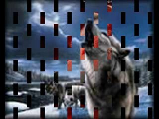 OSMAN ÖZTUNÇ BİRADER