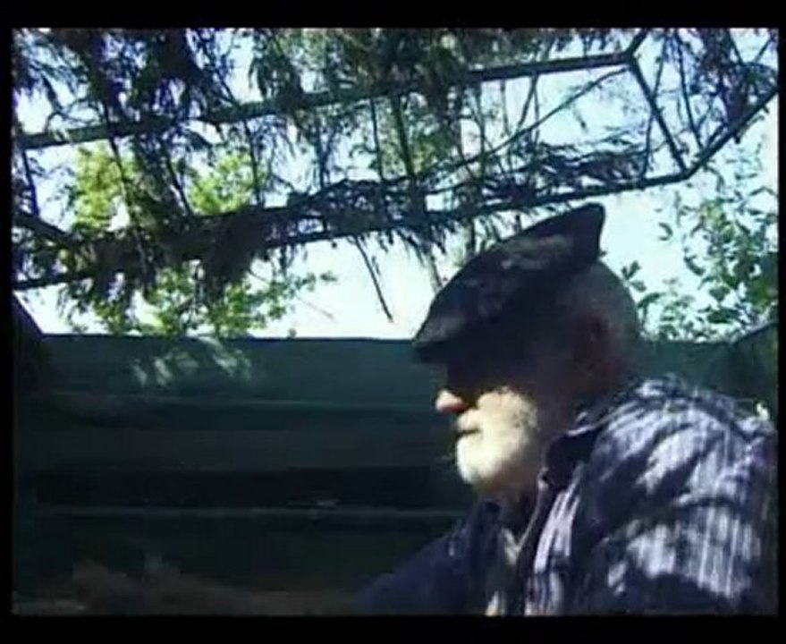 chasse à la palombe