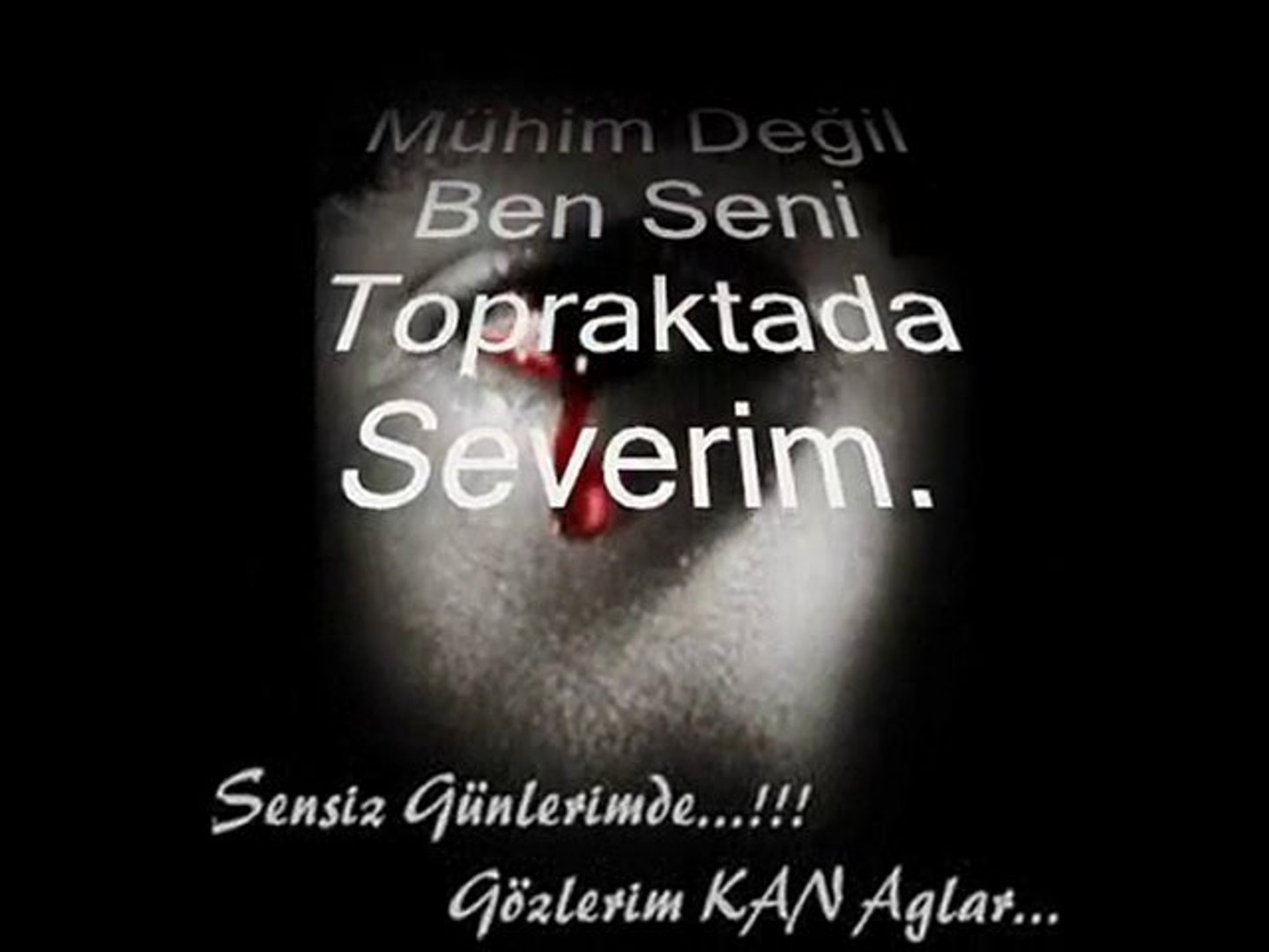 Yaban GüLüm'e ÖZeL Bitti