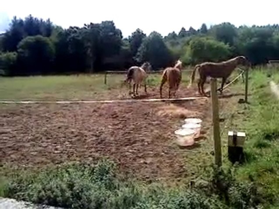 Jaslem et les "copines"