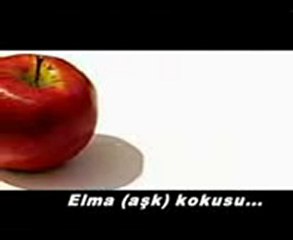 Buy-ı Sibo(Farsça Güzel Bir İlahi)