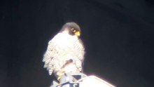 24 augustus 2010