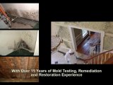 Sacramento Mold Testing, Inspection & Remediation Services