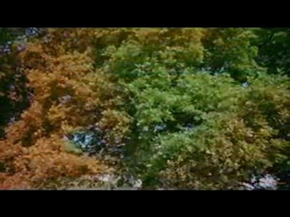 ey yolcu nereye bu gidiş!!!!!!!!!