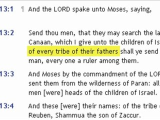 Caleb & Othniel were not Edomites (Job Response Coming Soon)