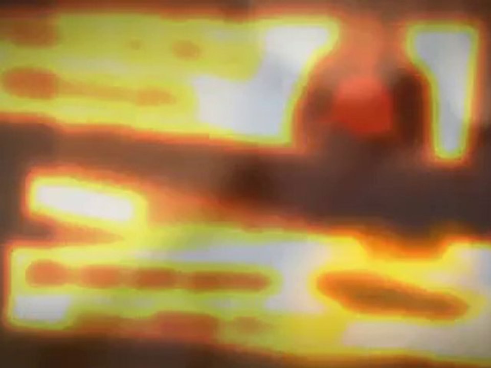 Animoto_video(2)