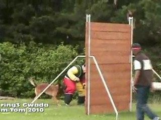 UR riing3 Gwada Dom-Tom 2010