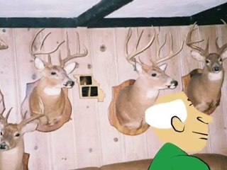 WHEN DEERS ATTACK