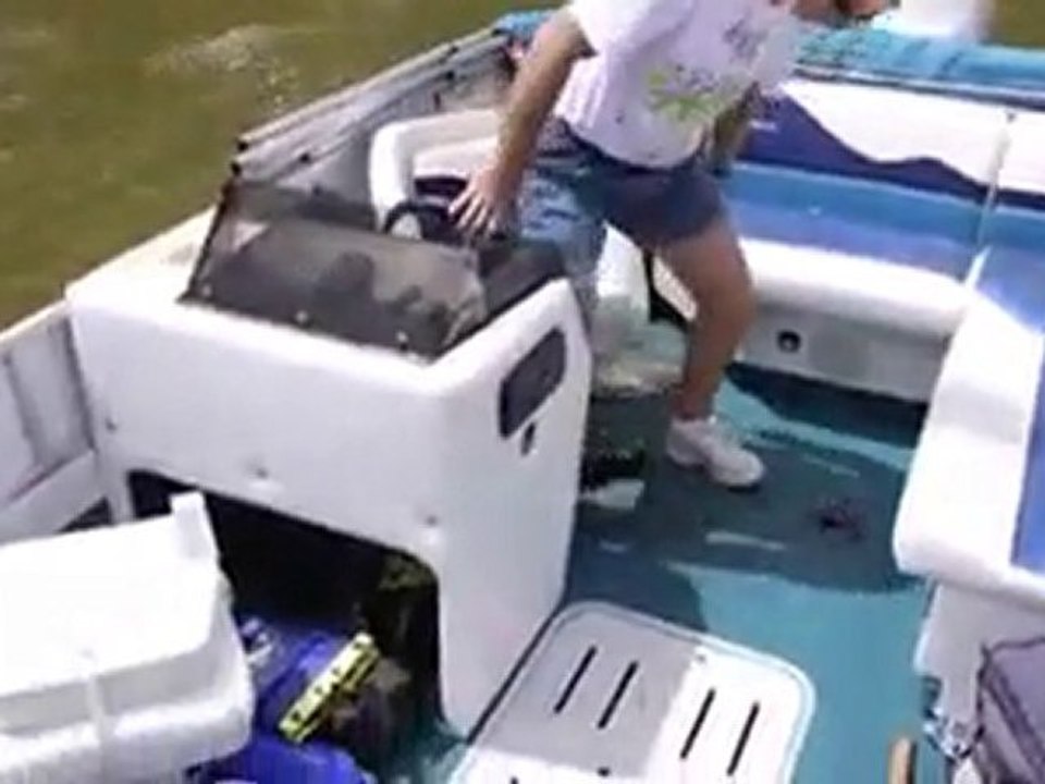 Balıkların dansı - balıkdostları.com