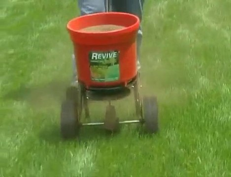 Watering-Your-Lawn.info| Soil compaction in turf | lawn