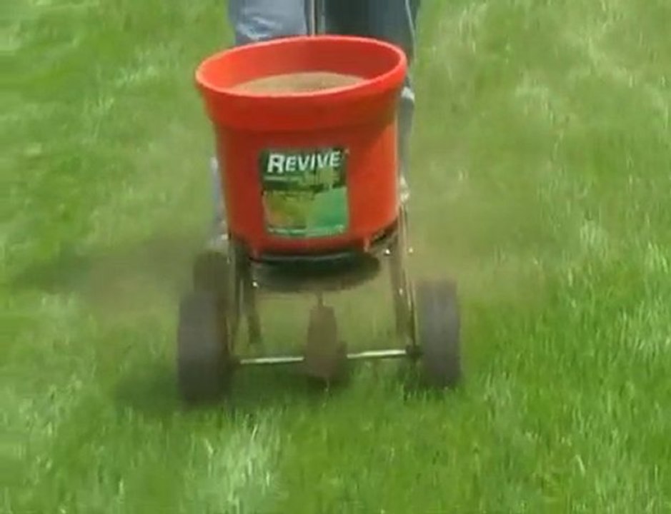 www.Watering-Your-Lawn.info| Soil compaction in turf | lawn