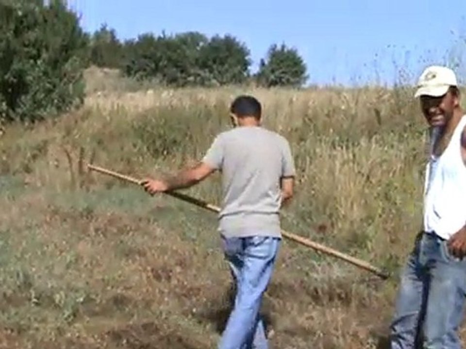 OZDEN EDE