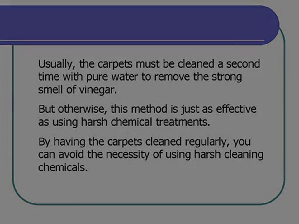 Steam Carpet Cleaning