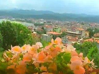 Ünye Ticaret Odası