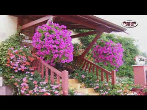 Concours des Maisons Fleuries 2010