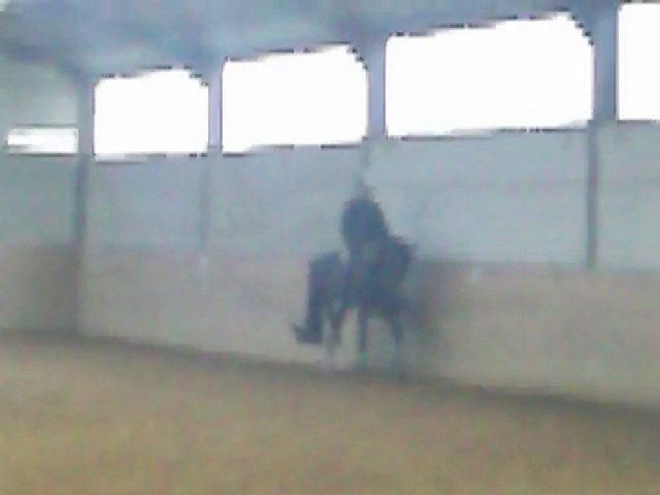 Dressage 08.04.2010 avec Ulysse de Dalles Z