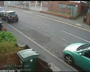 une femme jette un chat dans la poubelle