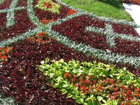 В Киеве открылась выставка цветов