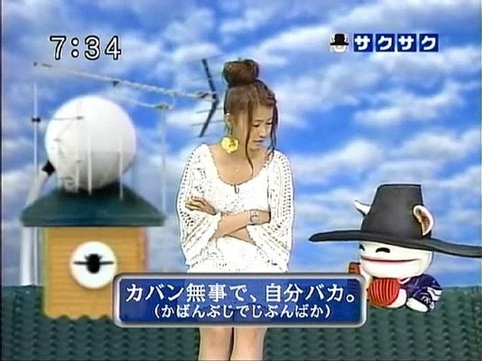 saku2 100826 1 オリジン弁当のみぞれハンバーグ弁当はご馳走？、の巻