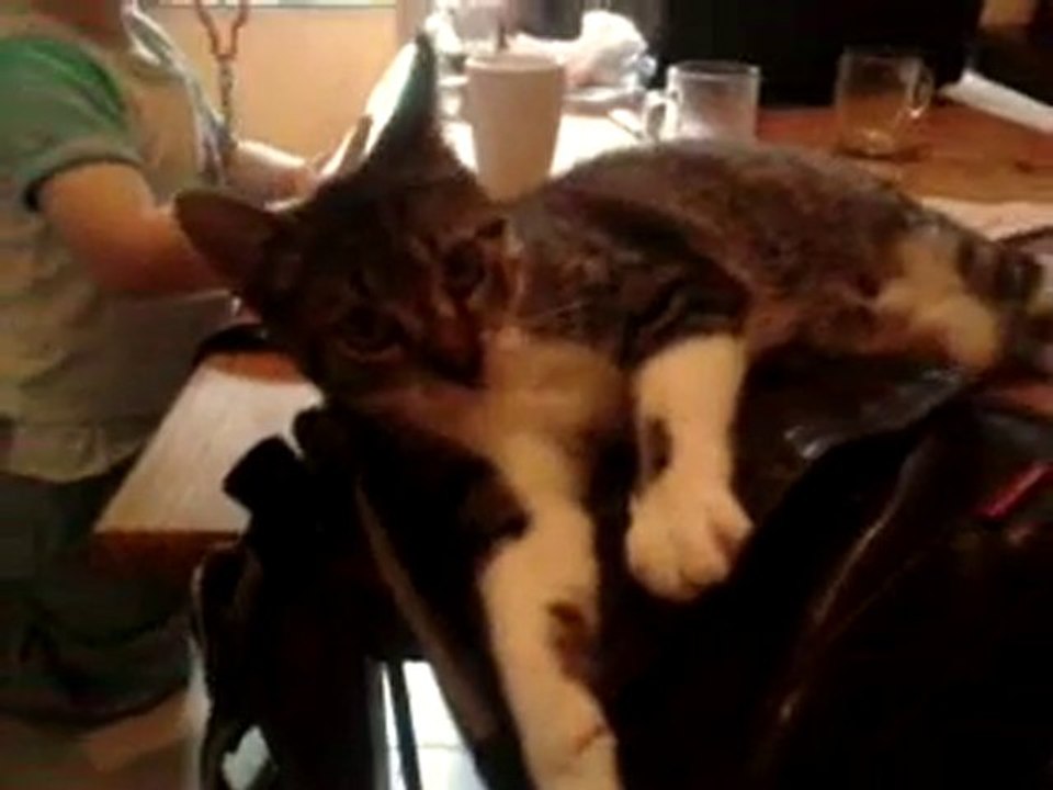 CHAT
