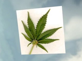 The most effective ways to stop smoking weed