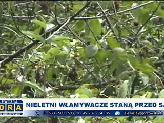 Nieletni włamywacze staną przed sądem