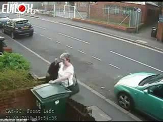 un chat dans une poubelle