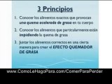 Dieta Para bajar de peso | Programa Para Comer Y Para ...