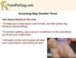 5 Routine Grooming Steps For A Lhasa Apso
