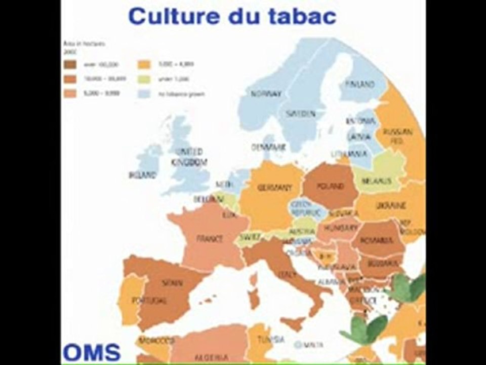 Enquete sur les cancers et ses causes. 2_3