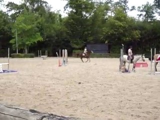 Je fais une grosse chute de Guépard
