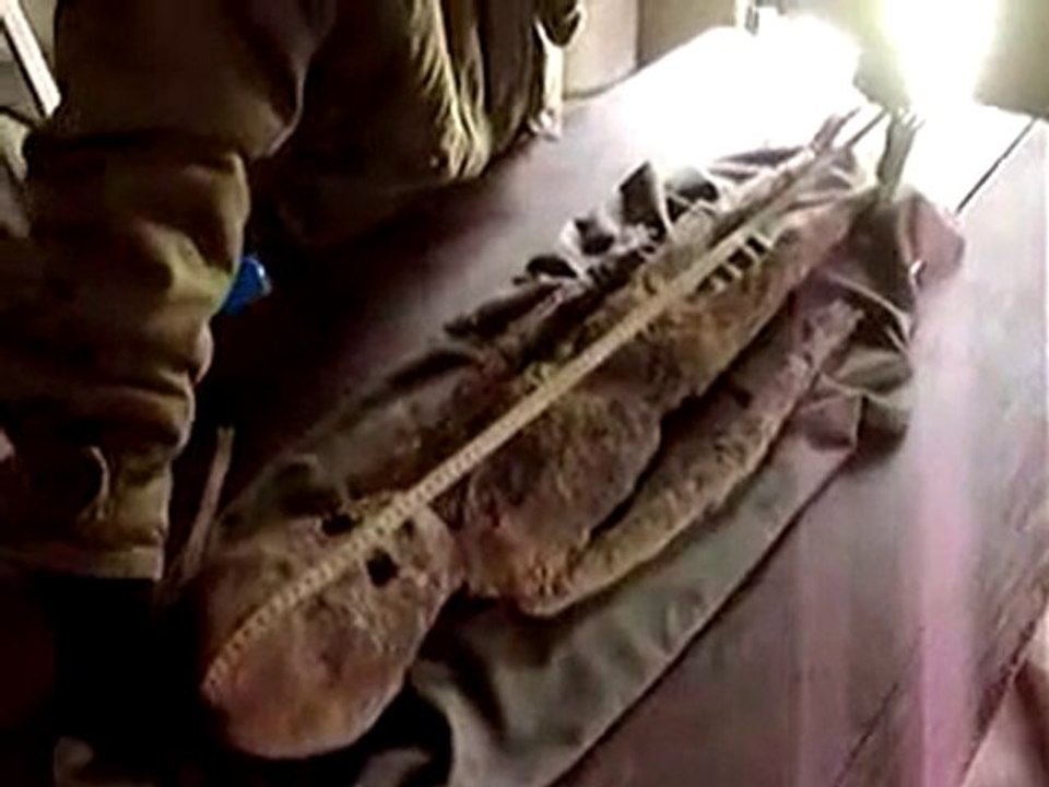Real Alien-Part3